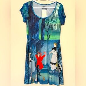 Disney Sleeping Beauty dress from Hot Topic, M.